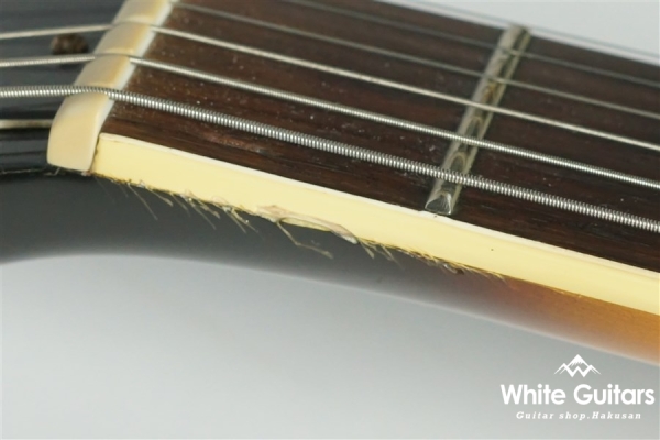 Aria Pro II CA-100-S SB